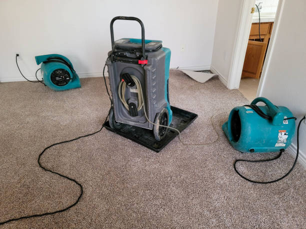 Best Professional water damage repair  in Highlands, TX