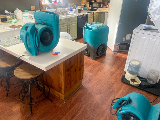 Highlands, TX Water damage restoration Pros