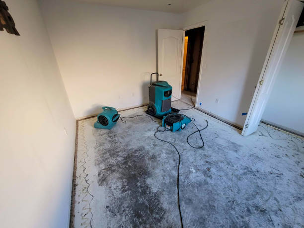 Best Water damage restoration process  in Highlands, TX