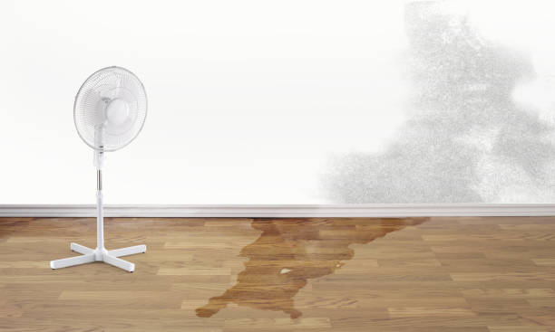 Best Water damage restoration experts  in Highlands, TX