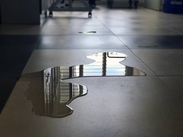 Best Water damage restoration near me  in Highlands, TX