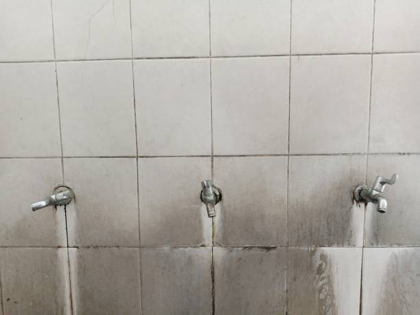 Best Mold removal after water damage  in Highlands, TX